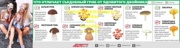 амф Аркадак