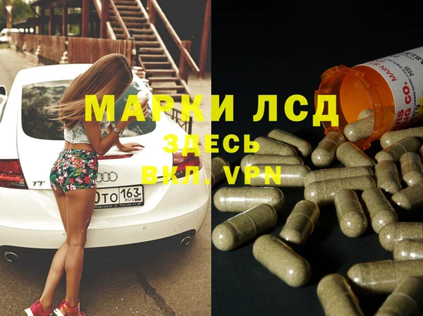стафф Арсеньев