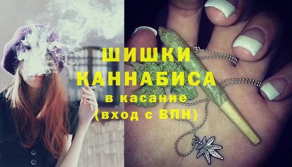 амф Аркадак
