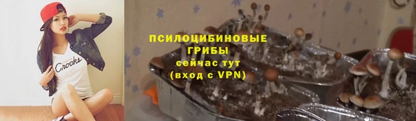 ешки Семикаракорск