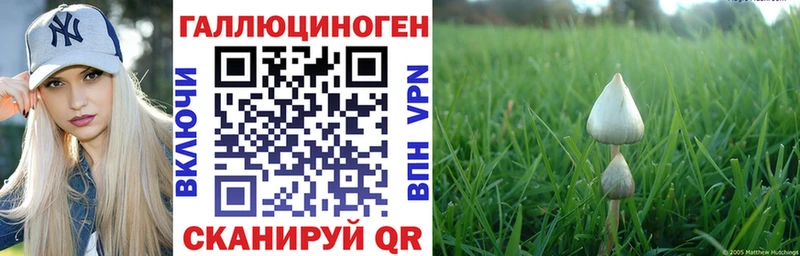 Галлюциногенные грибы ЛСД  Новосокольники 